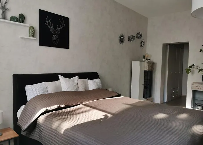 Luise Mit Separater Kueche