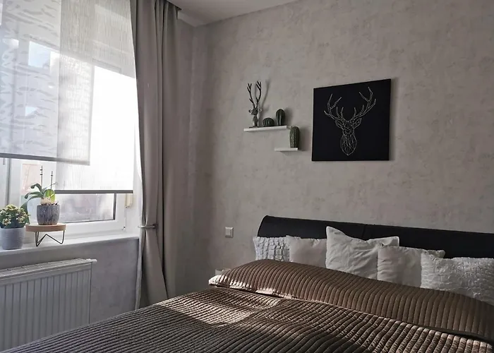 Luise Mit Separater Kueche *